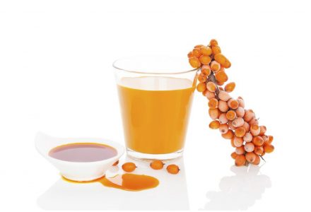 Propriétés médicinales de l’argousier