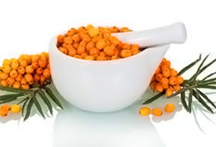 Les grandes vertus de l’argousier